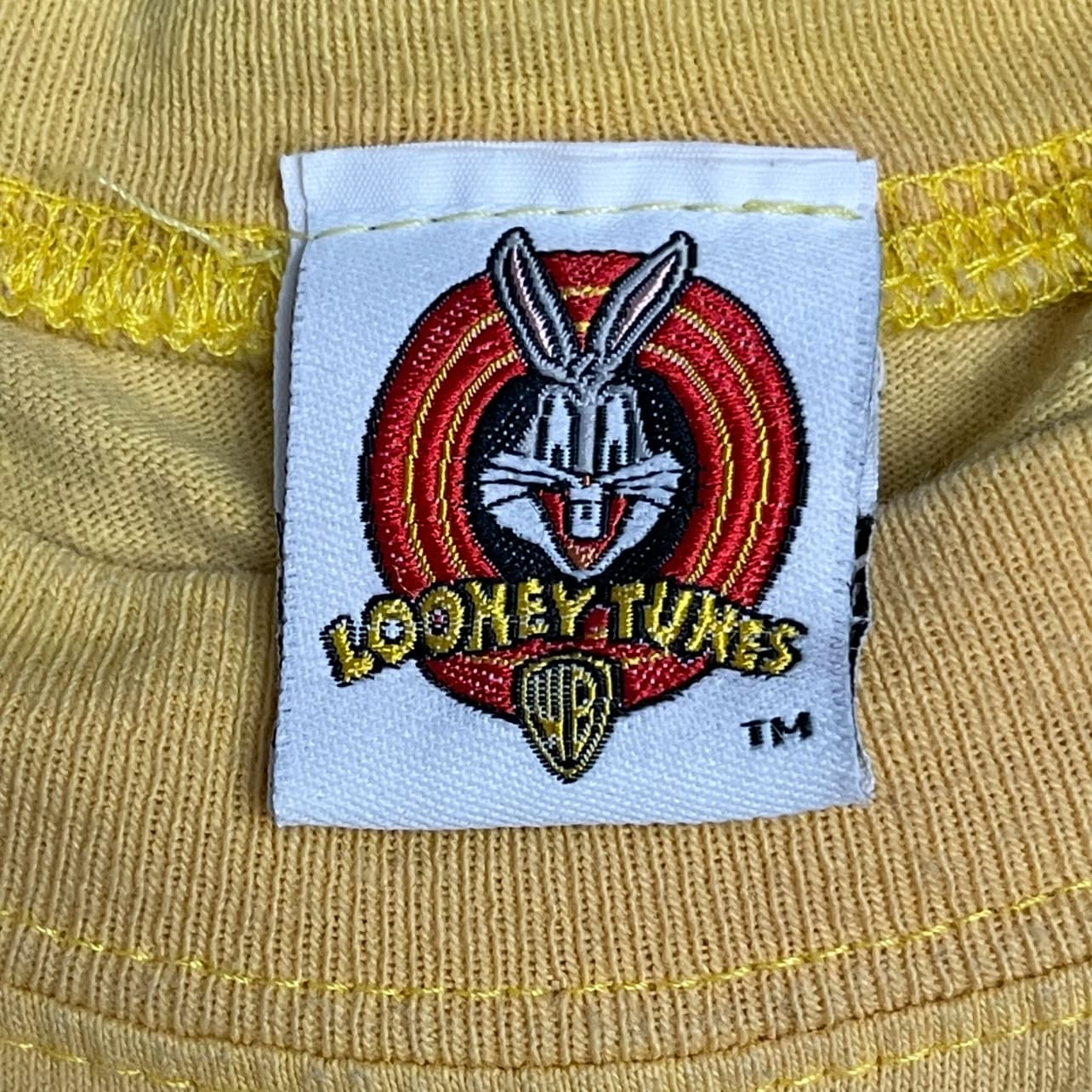 Vintage Tweety Bird Portrait Looney Tunes T-Shirt - Used