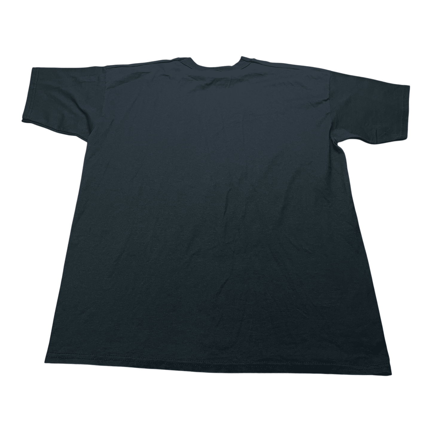 Vintage Mosquito Fest 2003 T-Shirt - Used/Worn