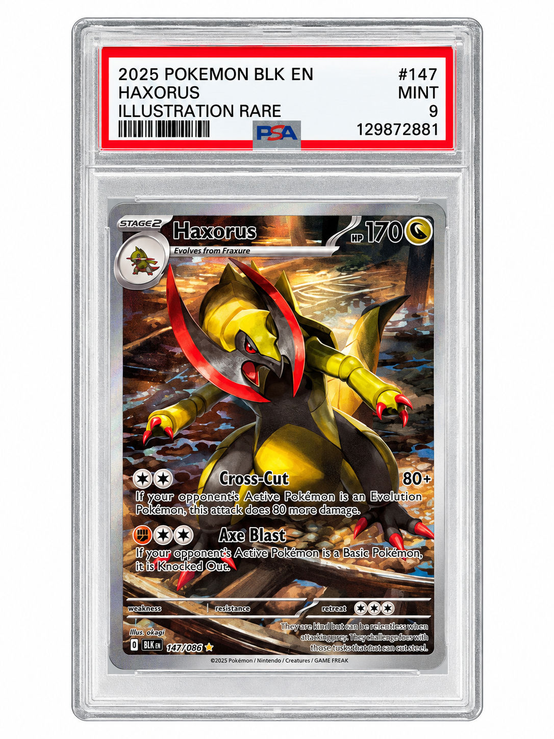 Haxorus #147
