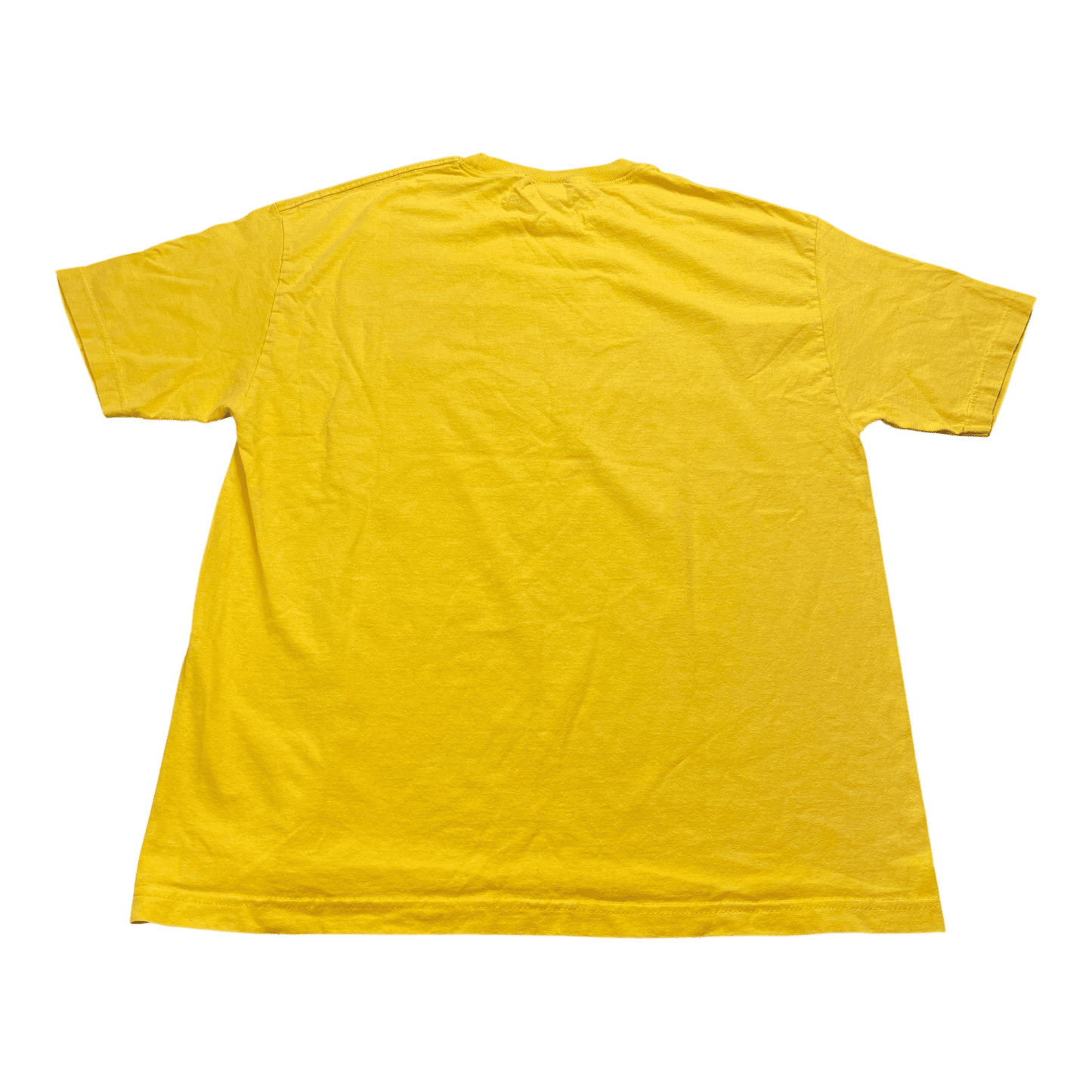 Vintage NFL Green Bay Packers T-Shirt - Used/Worn