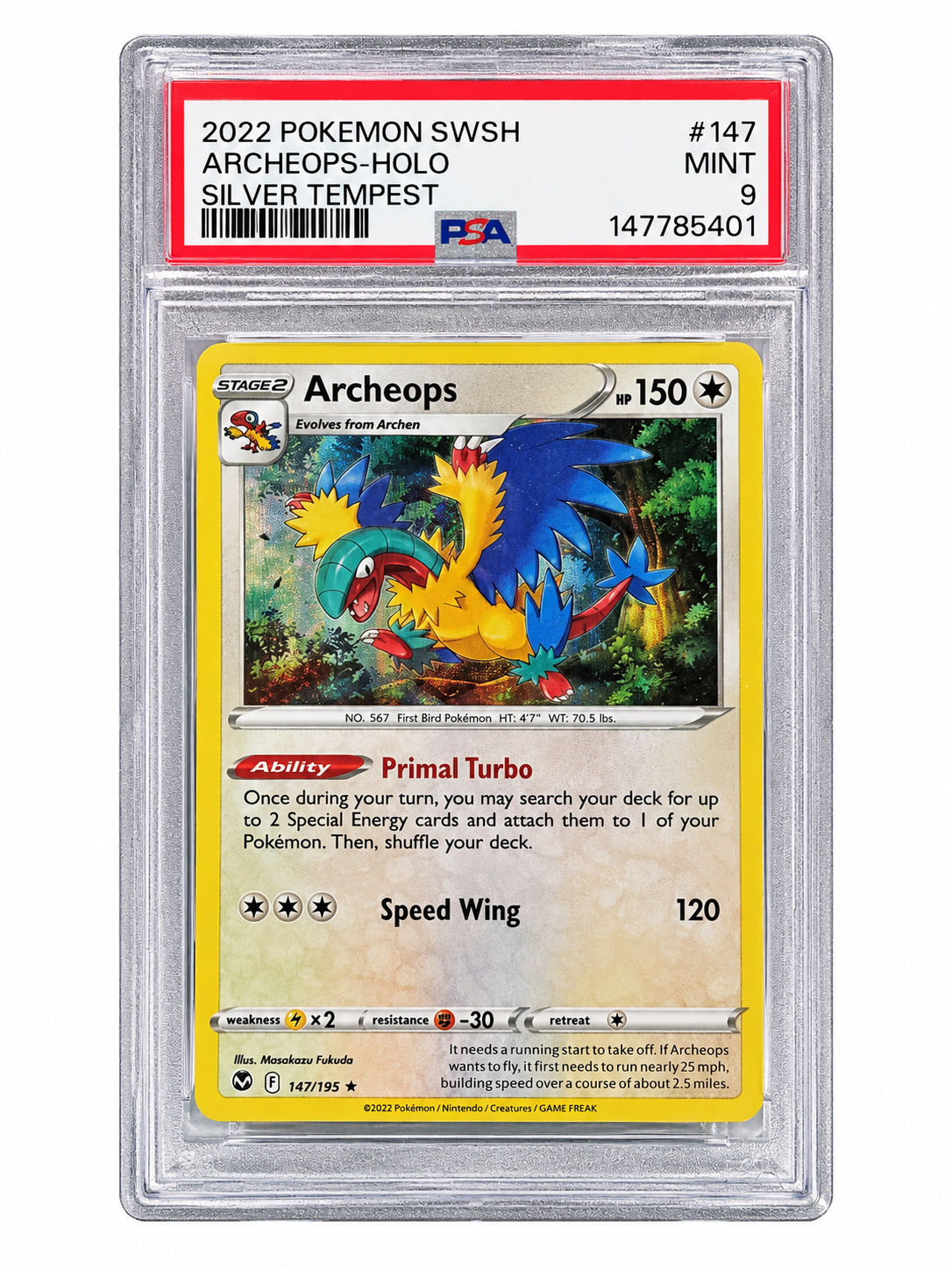 Archeops 147/195